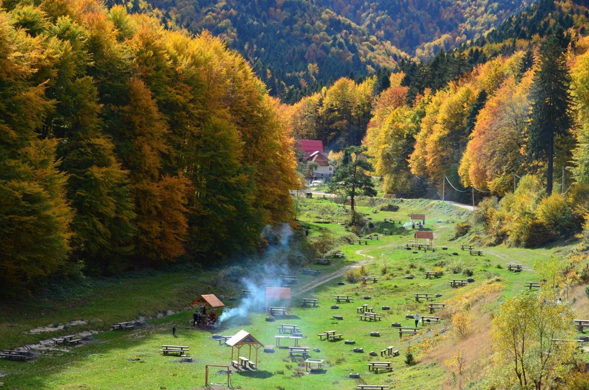 Cozy Corner Daire Braşov Dış mekan fotoğraf